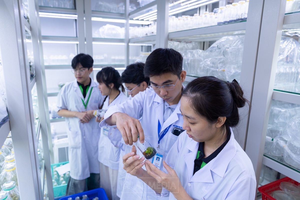 Ngành Công nghệ sinh học