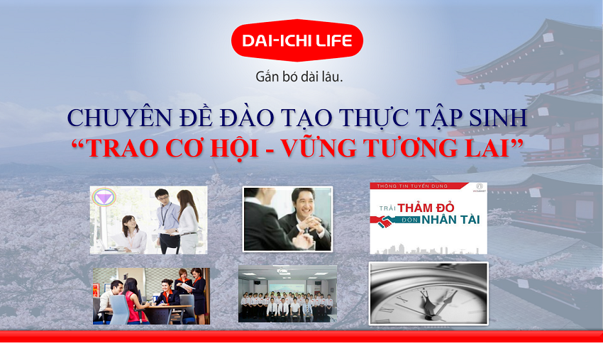 Tuyển thực tập sinh mảng nhân sự, tài chính bảo hiểm, ngân hàng và bất động sản